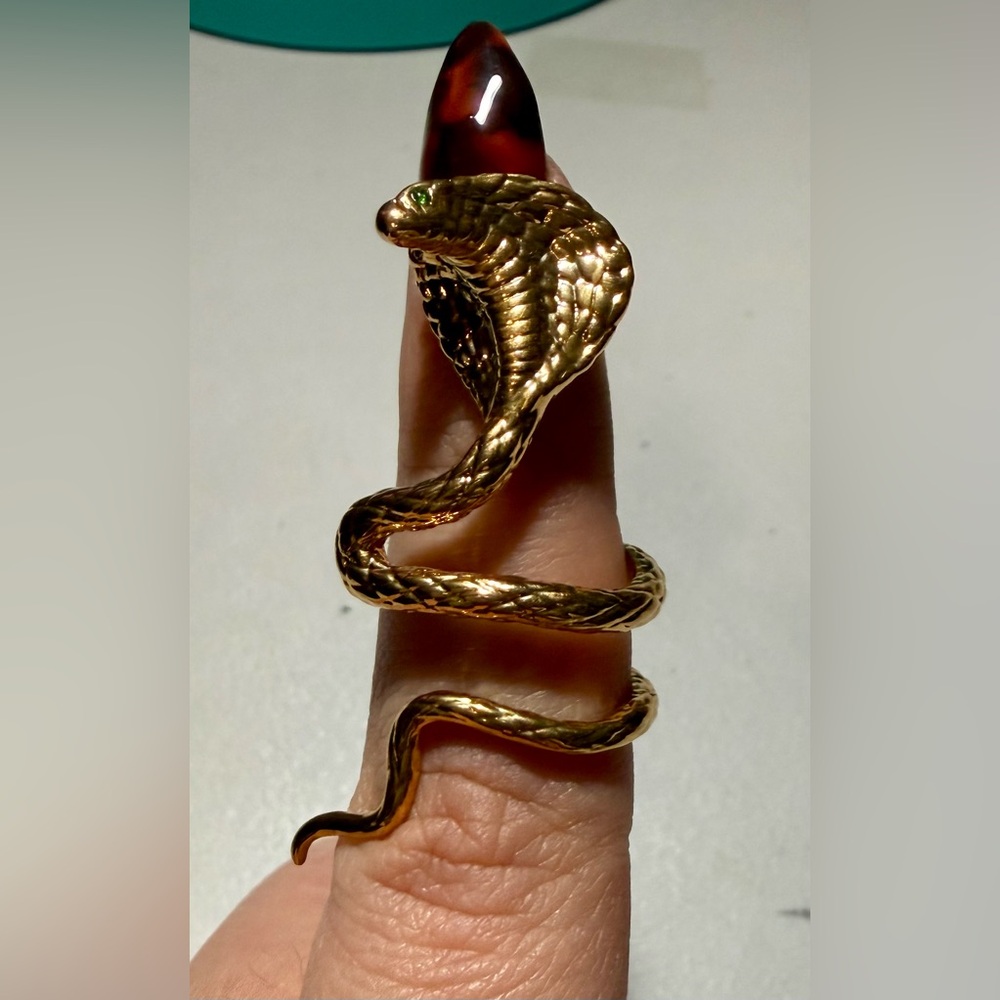 Taylor Swift reputation Snake ear cuff